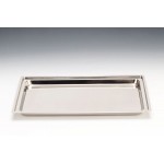 Zcp 266 çelik Teşhir Tepsi 18/10 44,5 x 29,5 cm