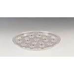 Zcp 312 Polycarbonat Tepsili Shot Servisi 21