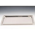 Zcp 069 - d çelik Teşhir Tepsi 18/10 56 x 36 cm