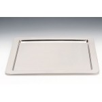Zcp 078 çelik Teşhir Tepsi 18/10 45 x 45 cm