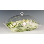 Zcp 450 Akrilik Kapaklı Muhafaza Kabı 43,5 x 28,5 cm
