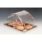 Zcp 420 Polycarbonat Rolltop Kapaklı Muhafaza Kabı / K