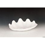 Zcp 300 - 2 Polycarbonat Teşhir Tabak 38 x 27 x h: 5 cm