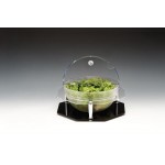 Zcp 248 Polycarbonat Kaseli Teşhir Standı / 26 cm 32 x h: 8 cm