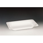 Zcp 298 - 2 Polycarbonat Teşhir Tabak 40 x 26 x h: 6,5 cm